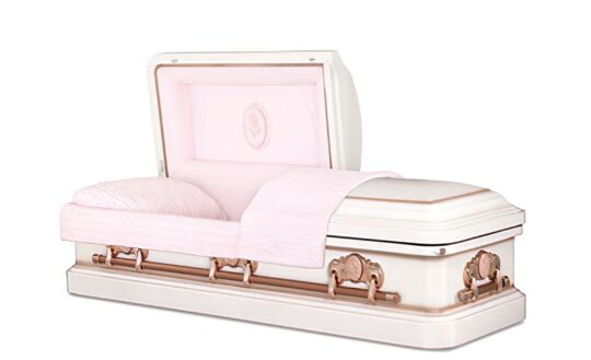 CAMEO ROSE